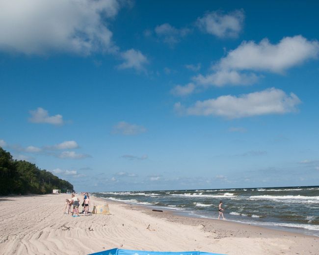 Attractions in the area