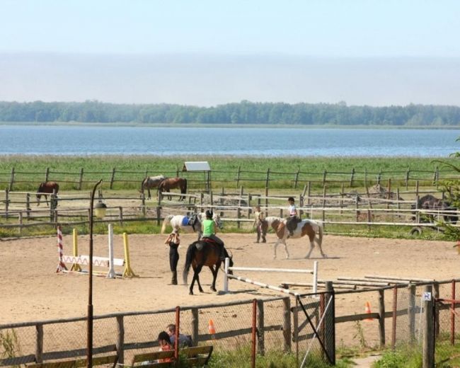 Attractions in the area