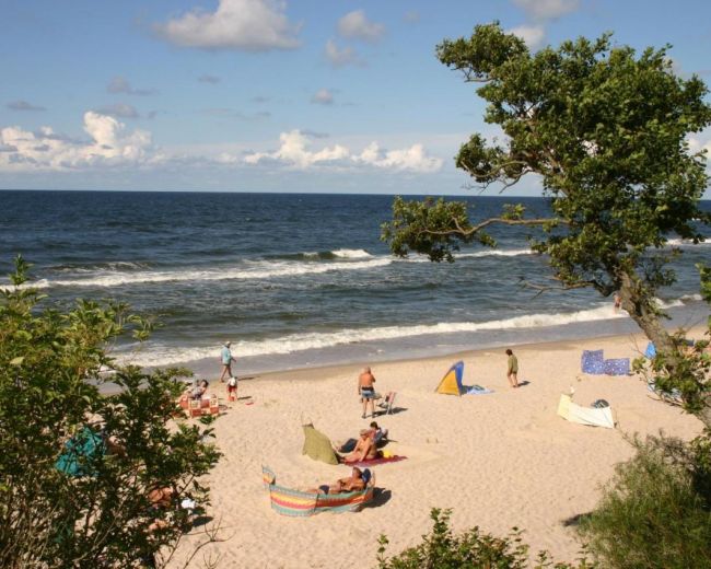Attractions in the area