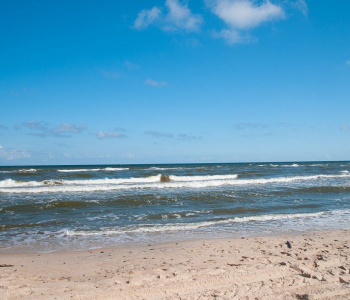 Meer,Strand,Wald
